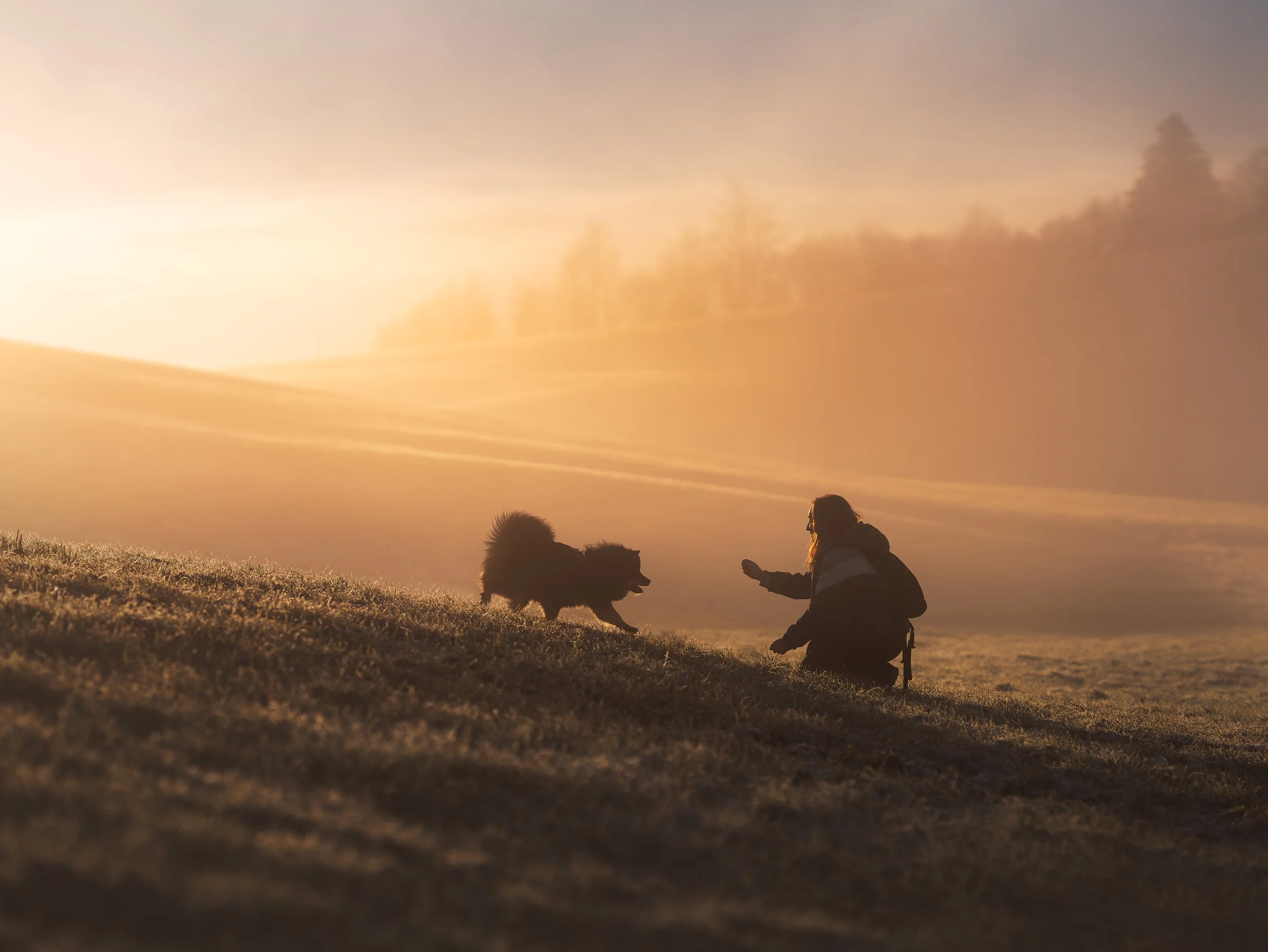 _A746357-HD.jpg