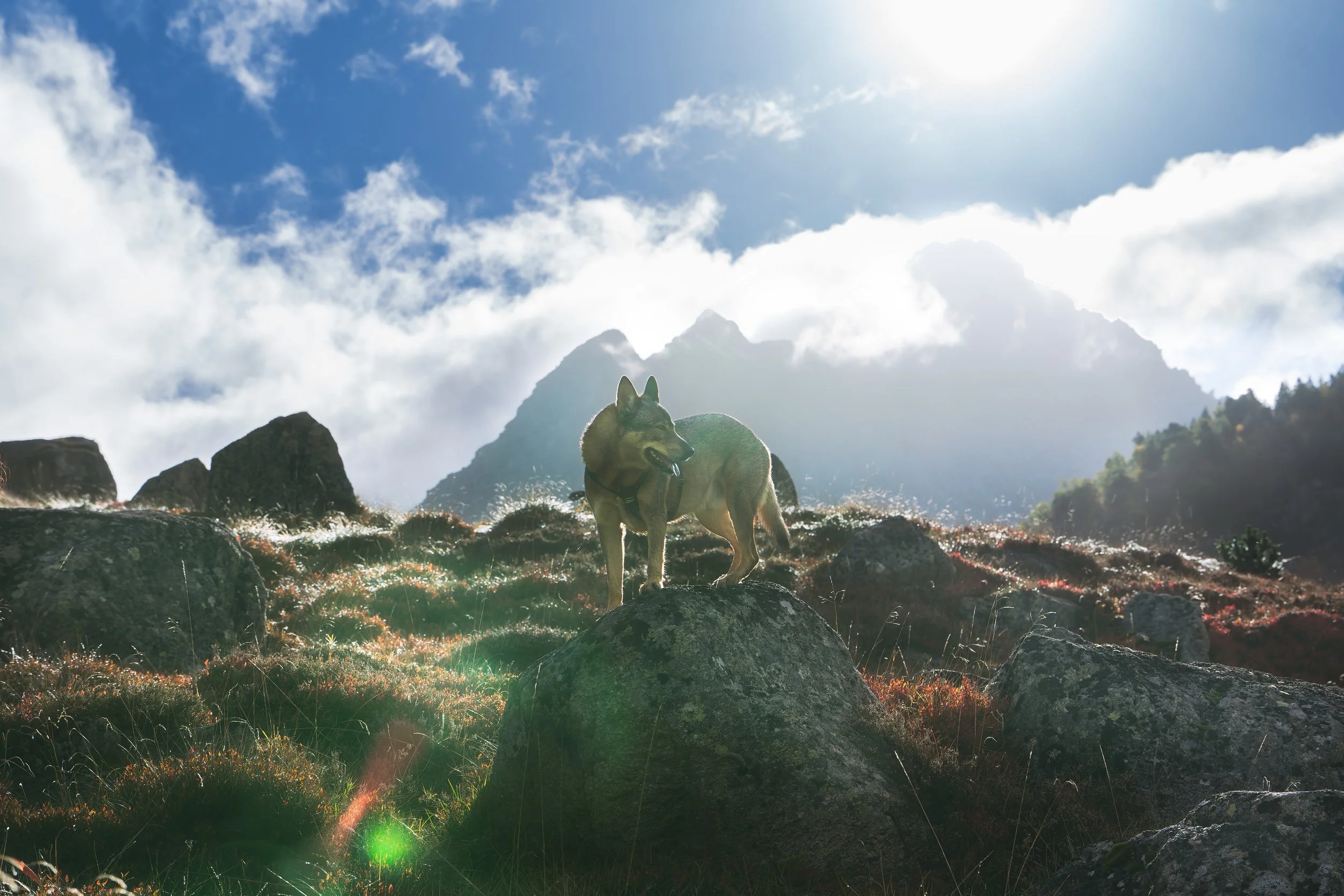_A748746-HD.jpg
