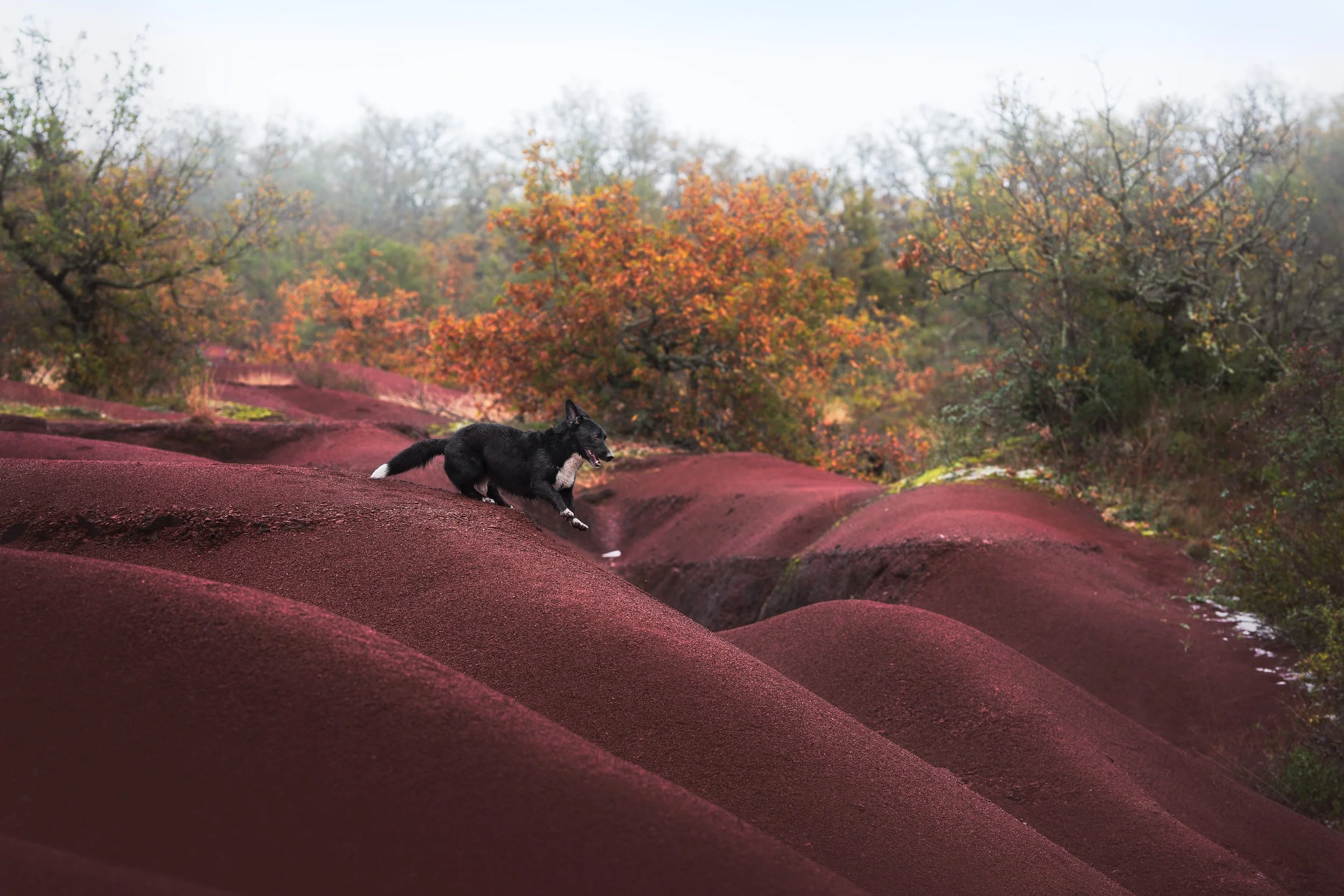 _A744119-HD.jpg