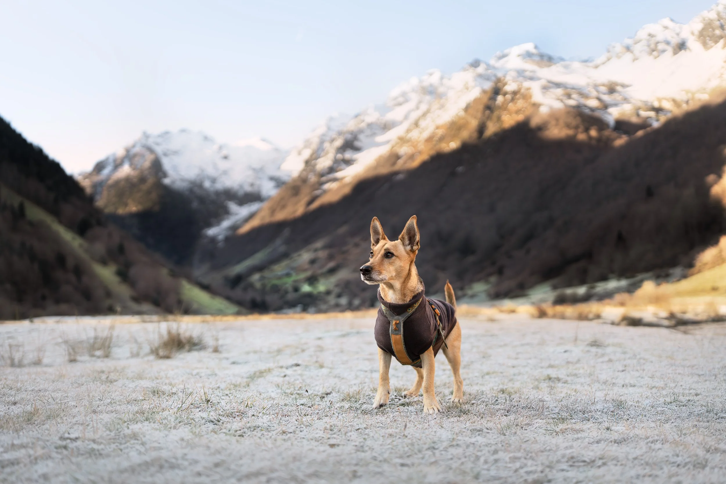 _A745707-HD.jpg