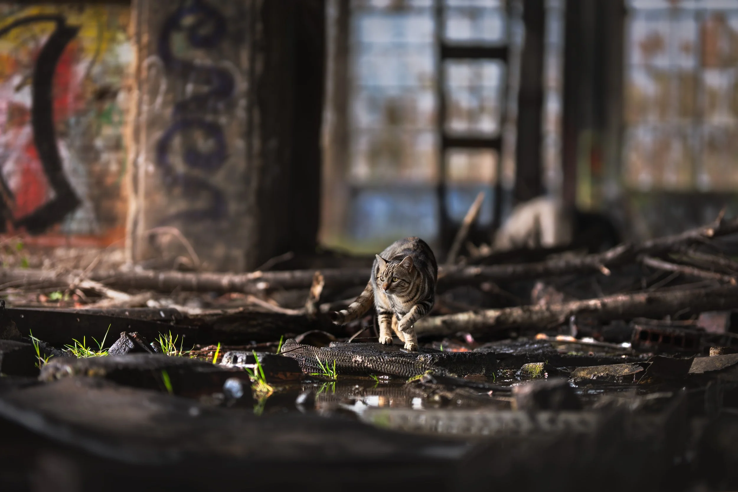 A7405632-HD.jpg