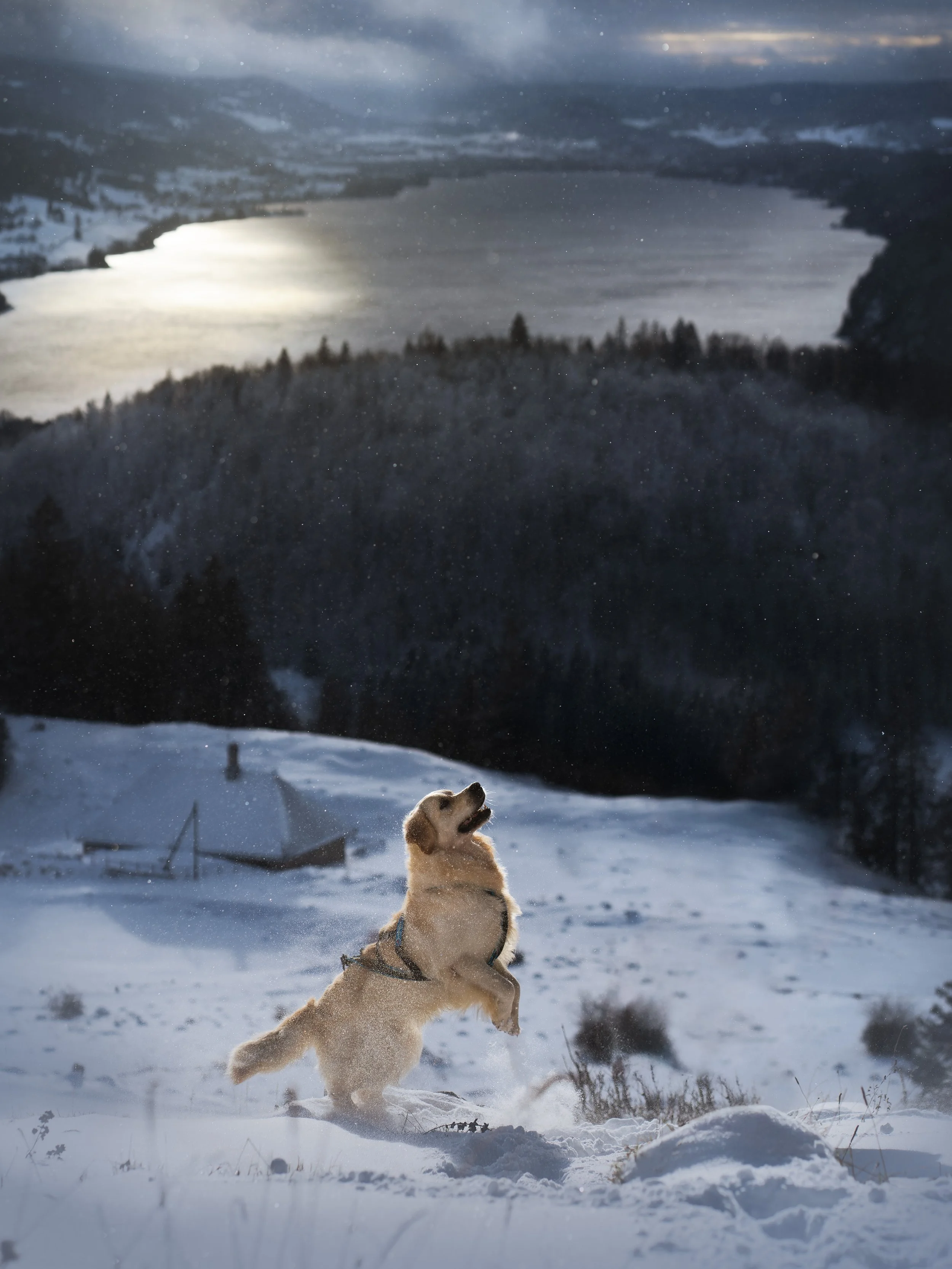 _A744726-HD.jpg