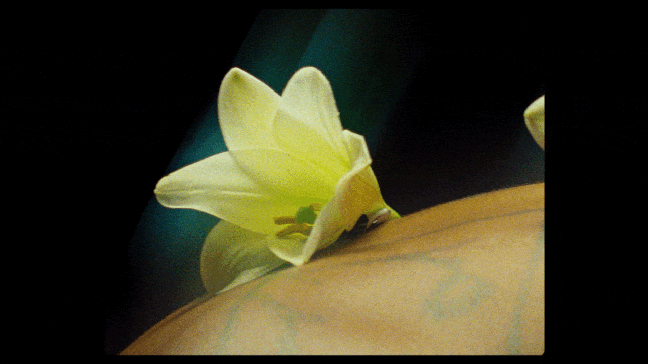 Trentemøller - Dreamweaver