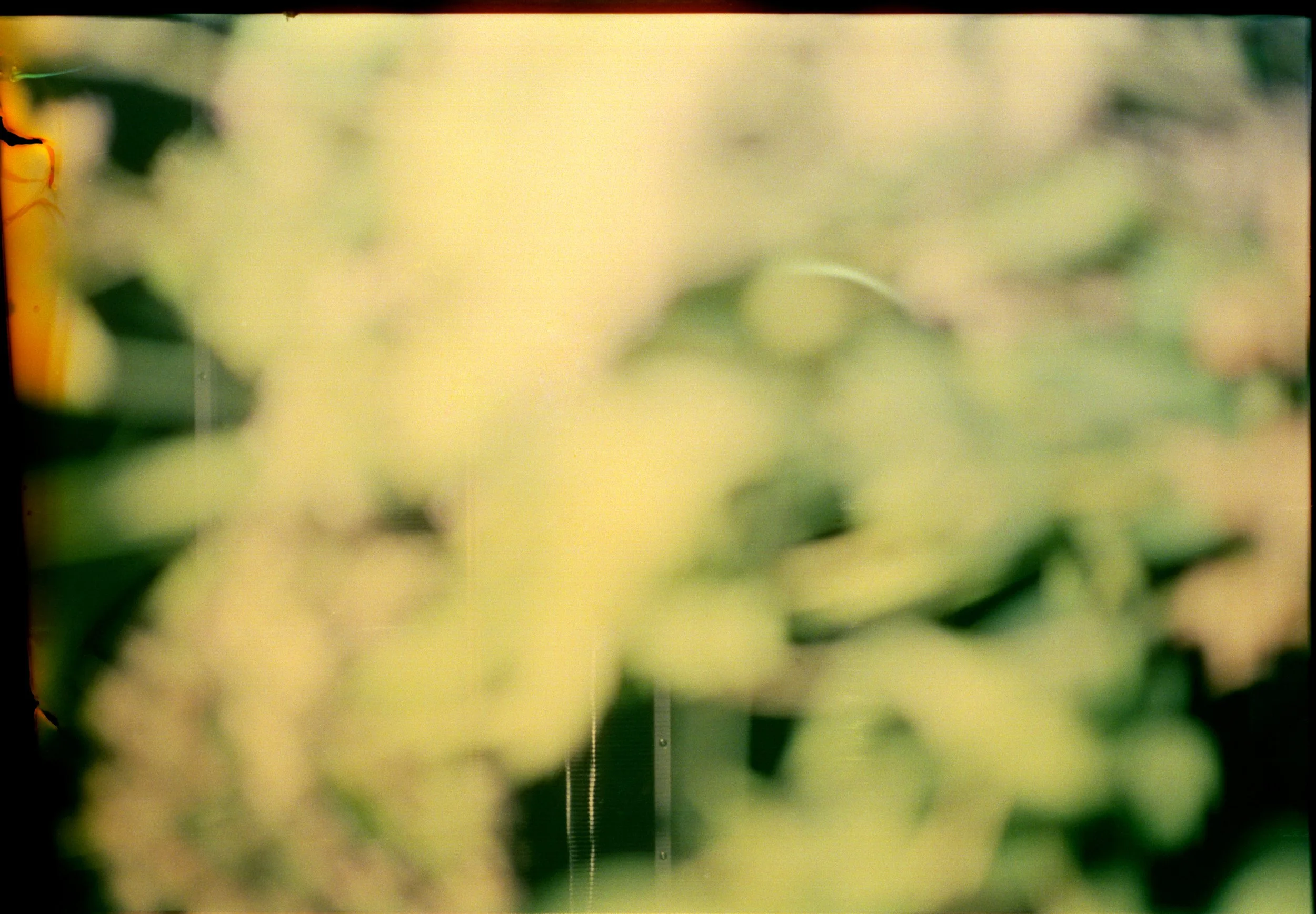 183_SCAN_151 copy.jpg