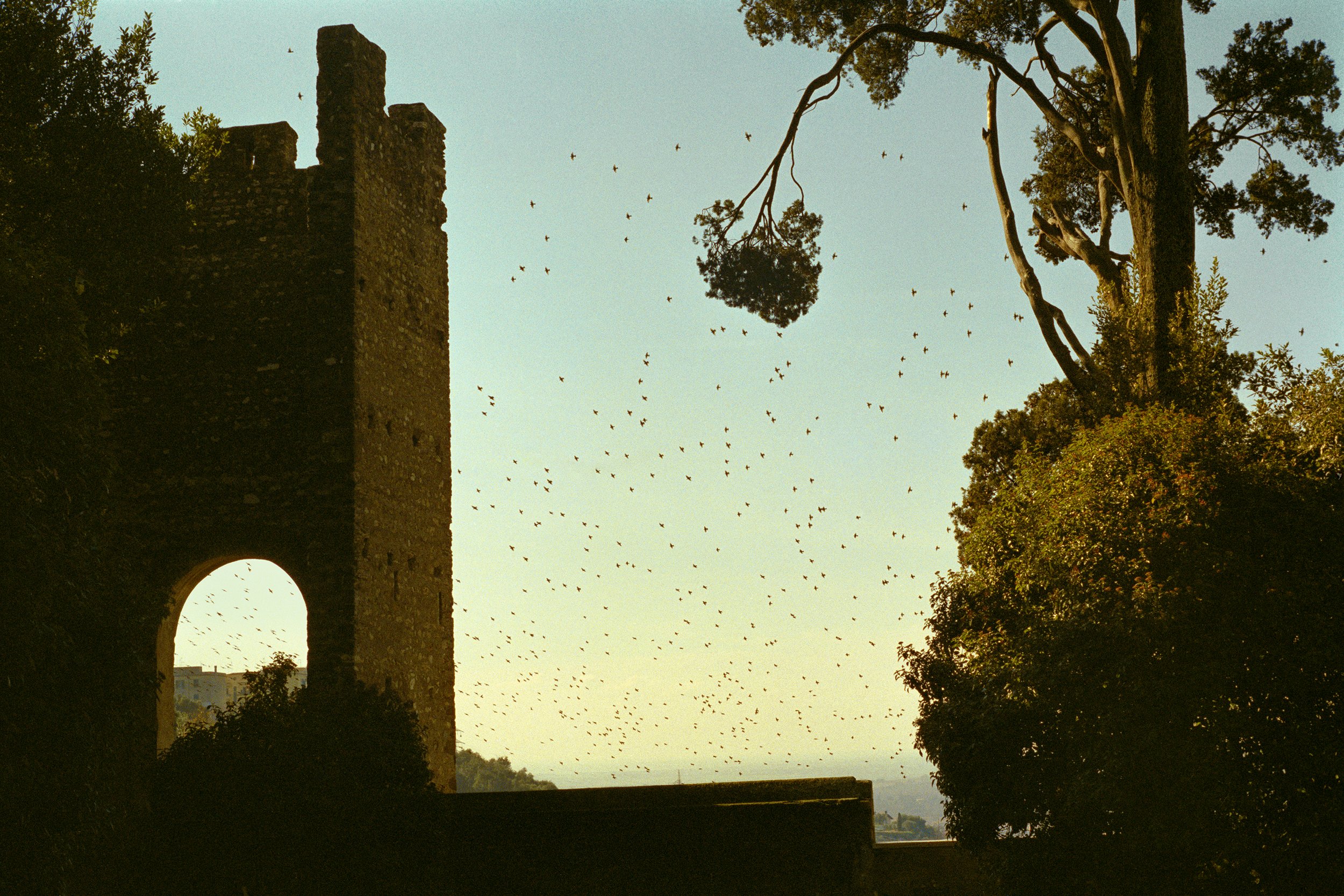 JB_01 original_JPEG_SMALLER.jpg