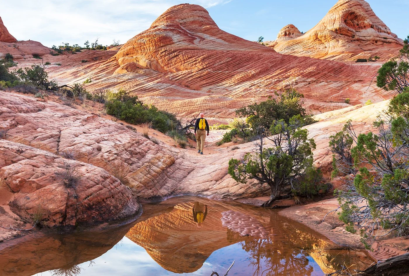 Five Hikes Within 30 Minutes of Your Front Door