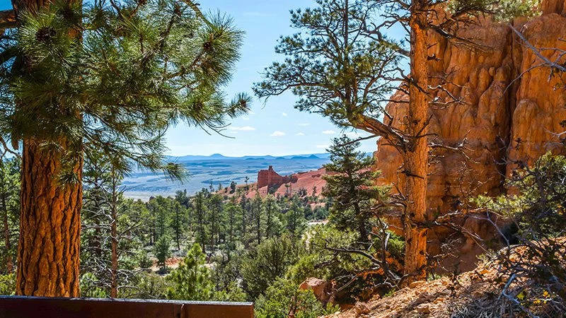 The Value of Proximity: Why Housing Near Employers is the Key to Long-Term Stability