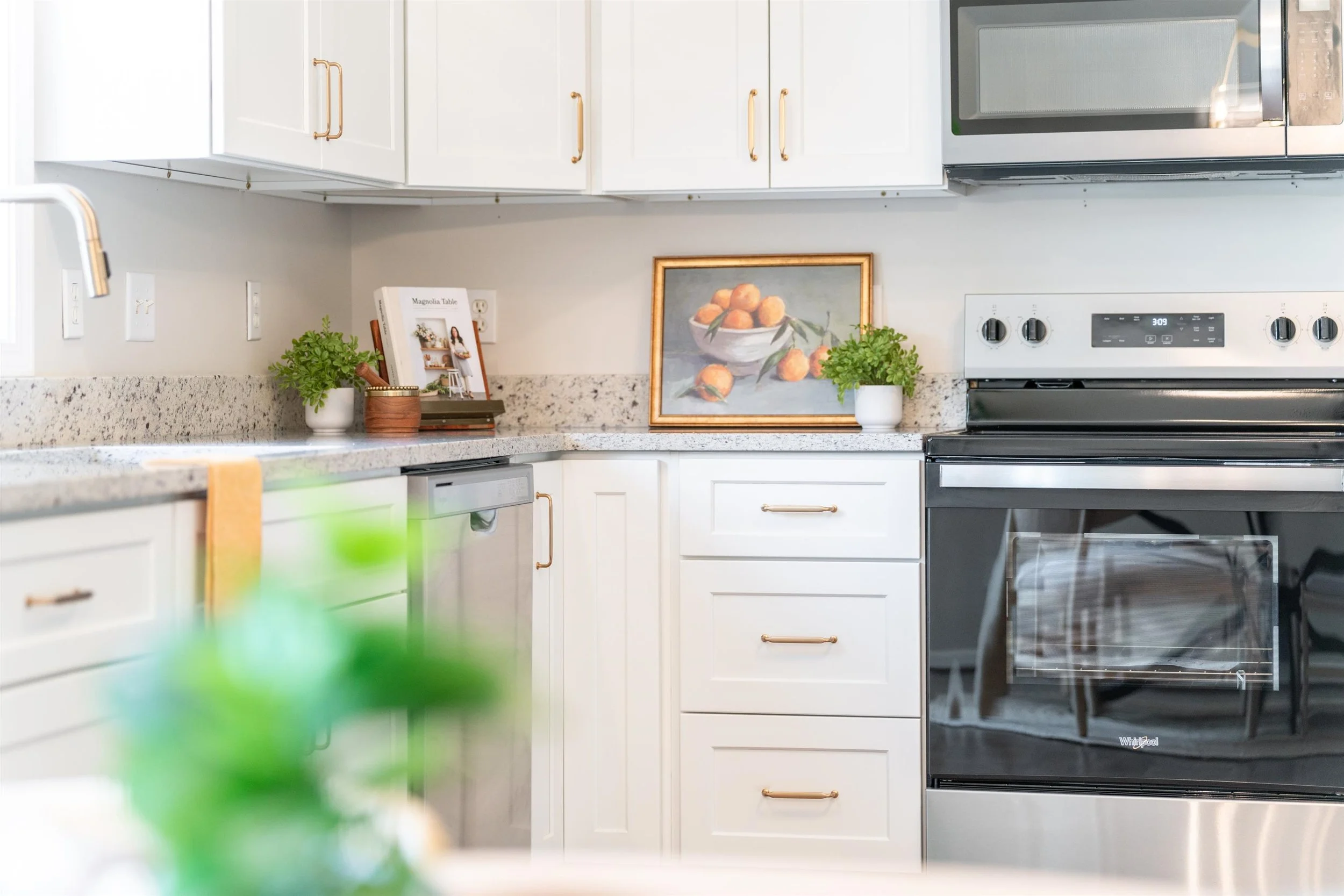 Clean white kitchen with granite countertops, plants, framed fruit painting, and stainless steel oven.