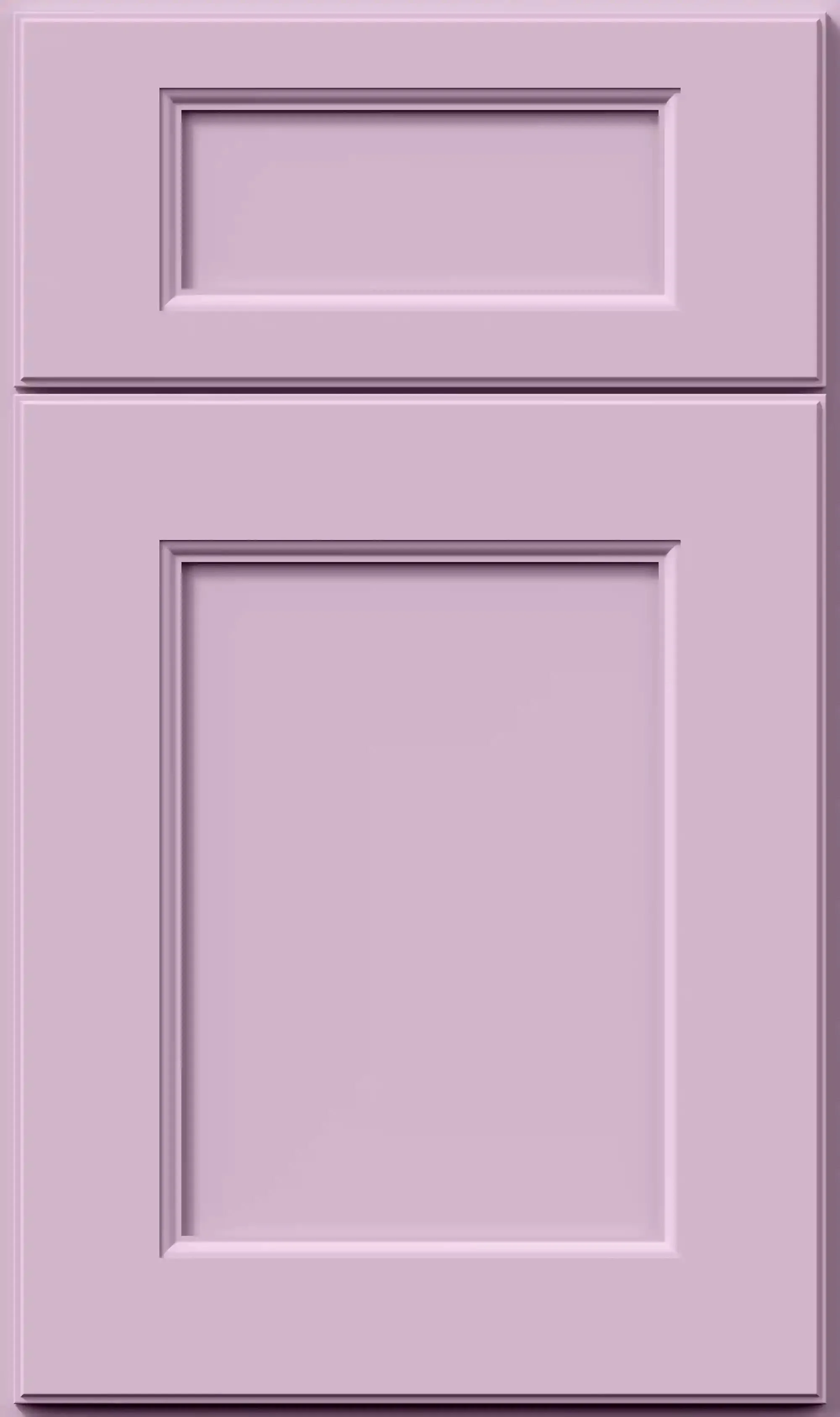 Orchid Purple