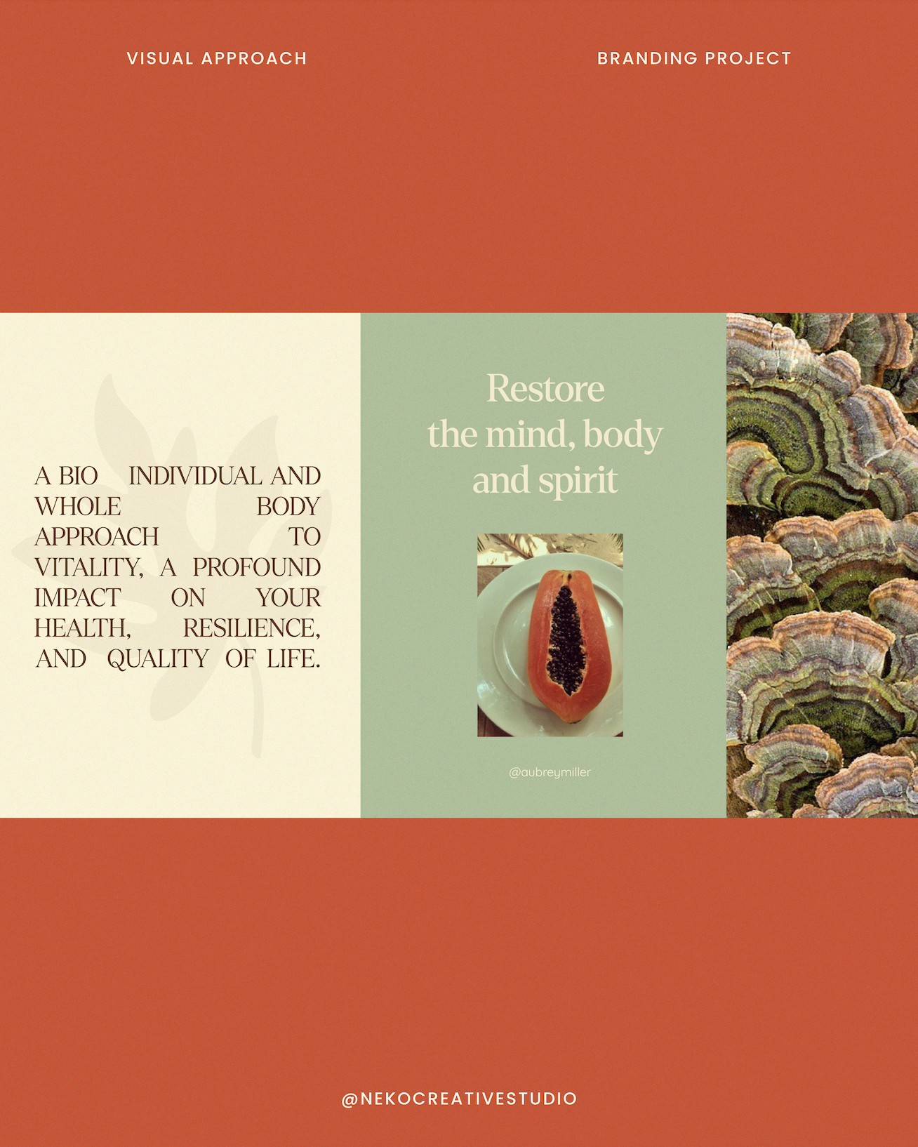 A colorful graphic design promoting a branding project with sections labeled "Visual Approach" and "Branding Project." Includes a pair of papaya halves on a plate in the center and a background of green leaves and layered rock formations. The text emphasizes restoring the mind, body, and spirit.