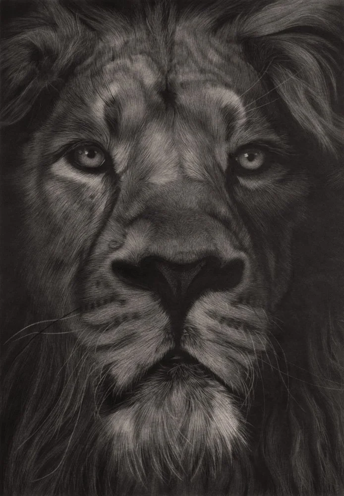 The king soul
