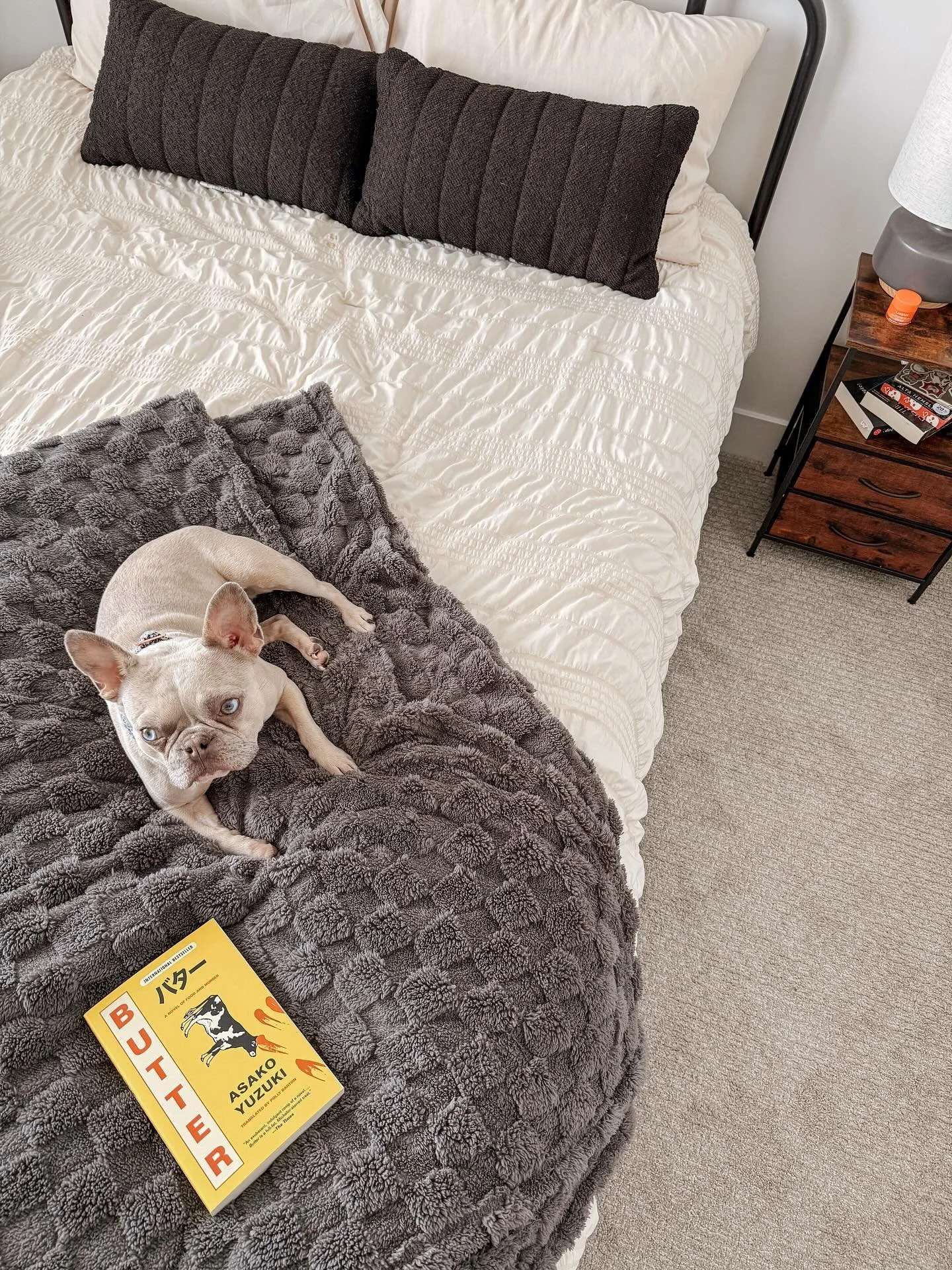 ❔WHAT ARE YOU READING?! Im so out of touch with y&rsquo;all! 

HAPPY MINIMALIST MONDAY BESTIES 🥹
I&rsquo;ve missed being in this space so much! The break was refreshing though. 
LOOK WHO I SNUCK IN TO MY APARTMENT. Please no one tattle on me. Having