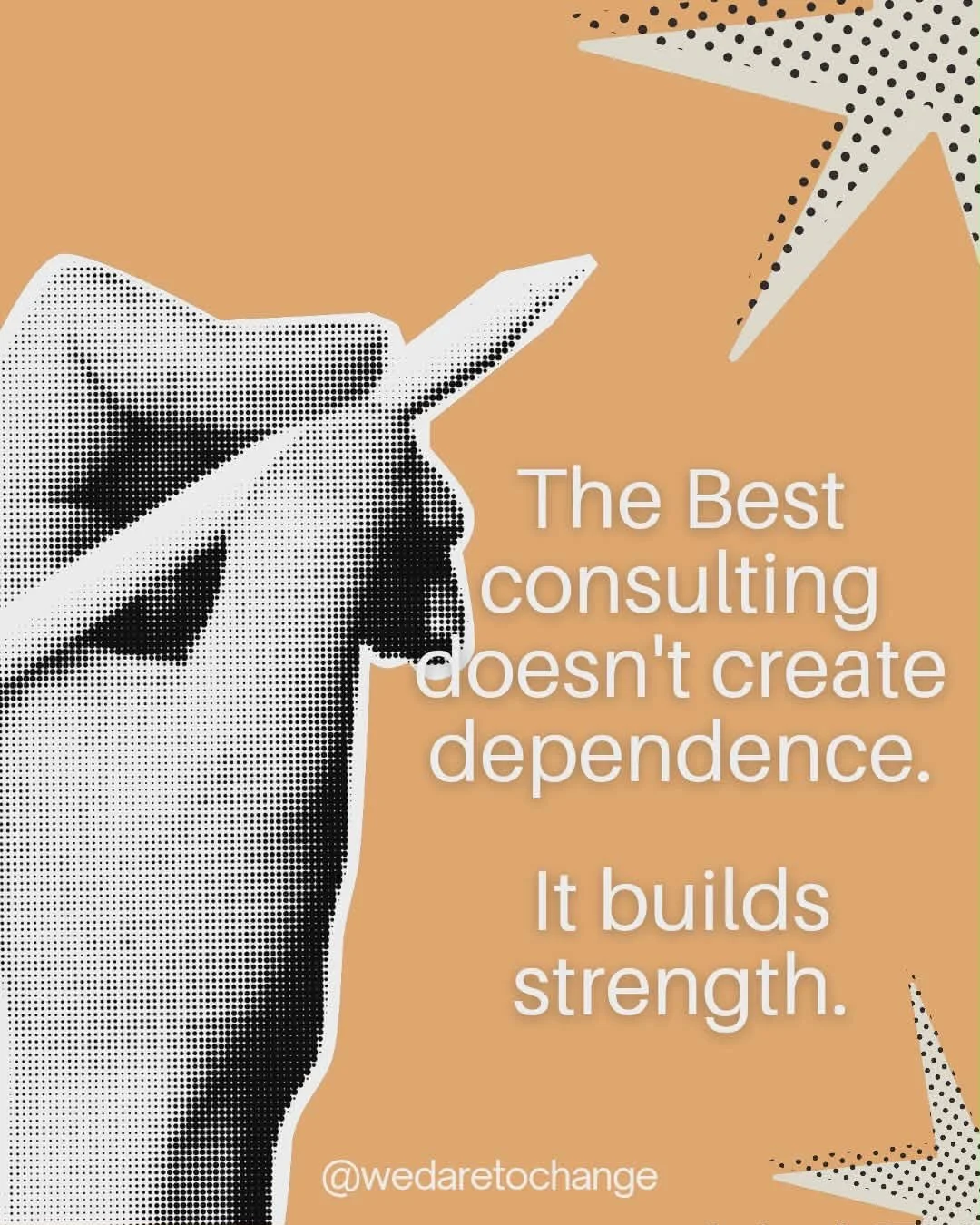 At Dare to Change, we don&rsquo;t believe in consulting that keeps organizations dependent.

We believe in building power.

Power through strategy.
Power through systems.
Power through leadership that can carry the work forward.

Because the goal isn