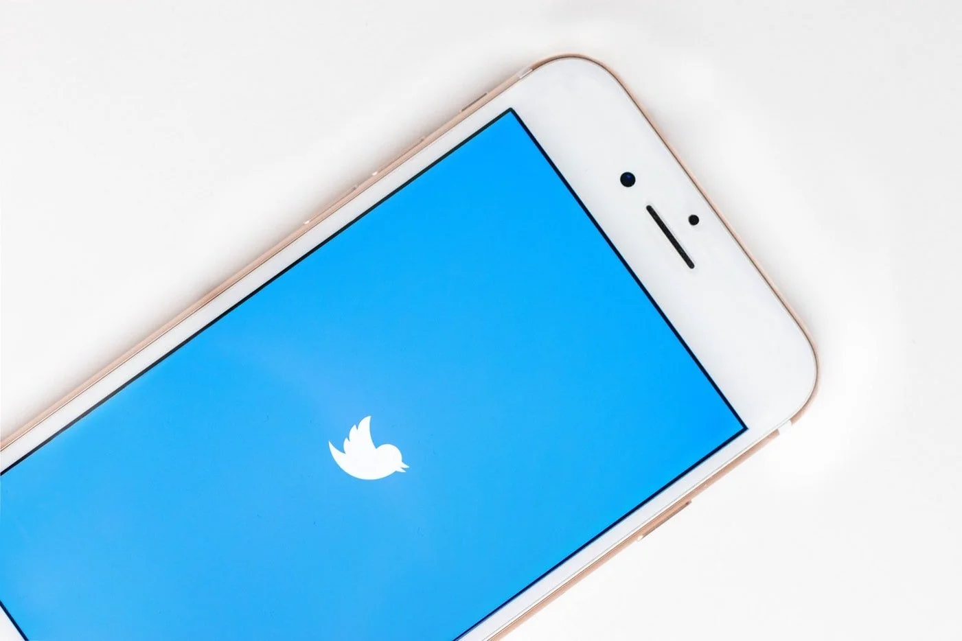 A Look Into the Weird and Wonderful World of Academic Twitter 