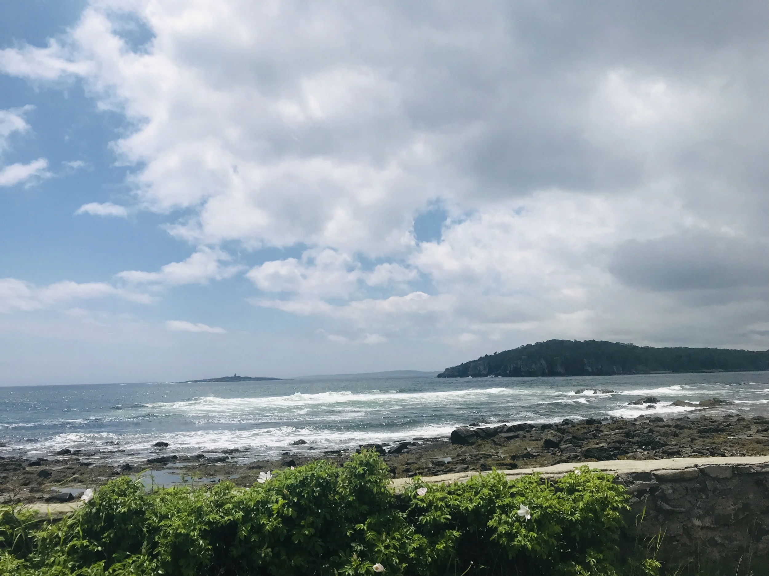 The Dunn Lab Takes Portland