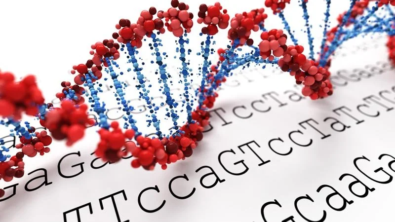 Consumer Genetic Testing Kits: Precision Medicine in the Home? 