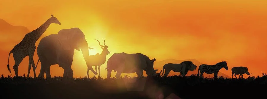 Humans Aren’t so Unique: Mental Illness Exists Across Species