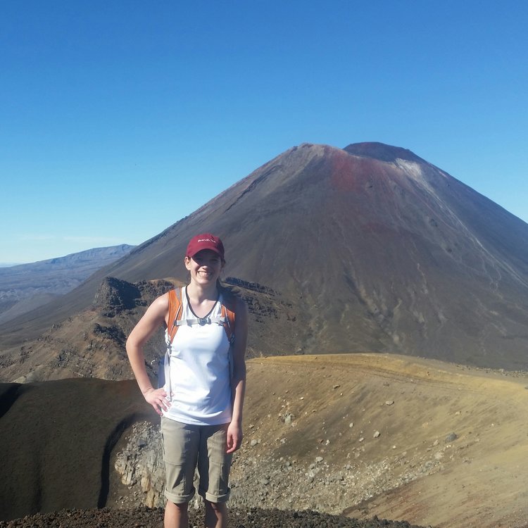 Sam in New Zealand in front of Mt. Doom.&nbsp;