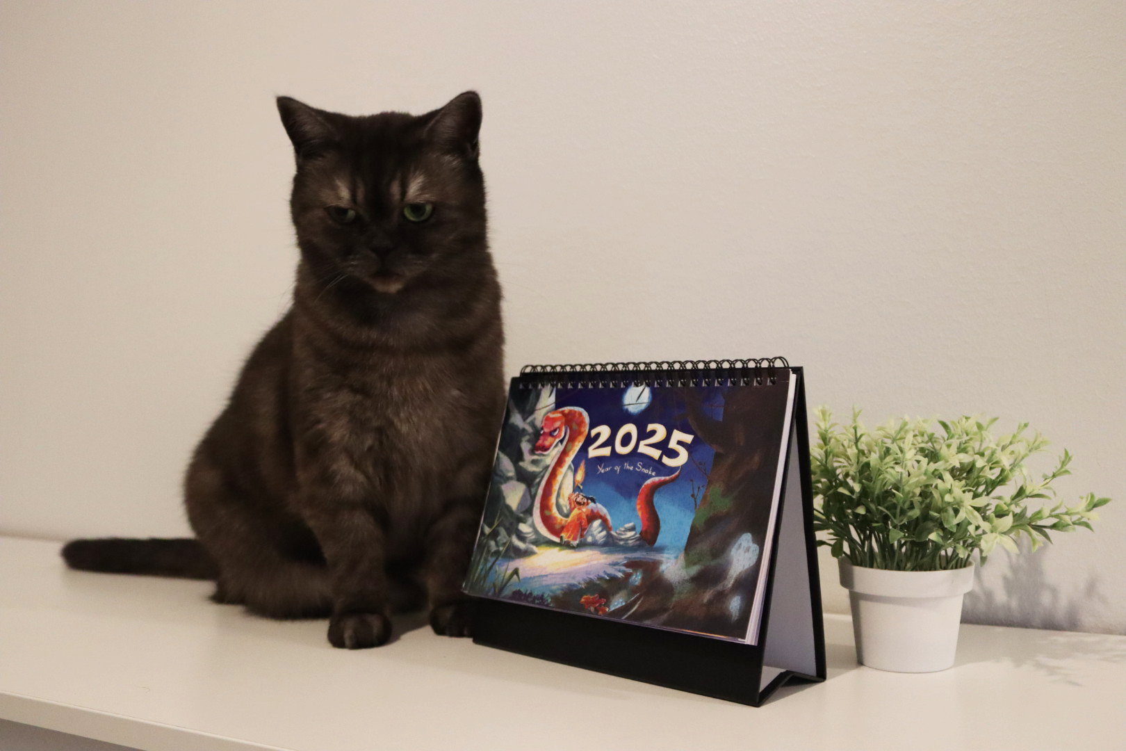 2025 Calendar