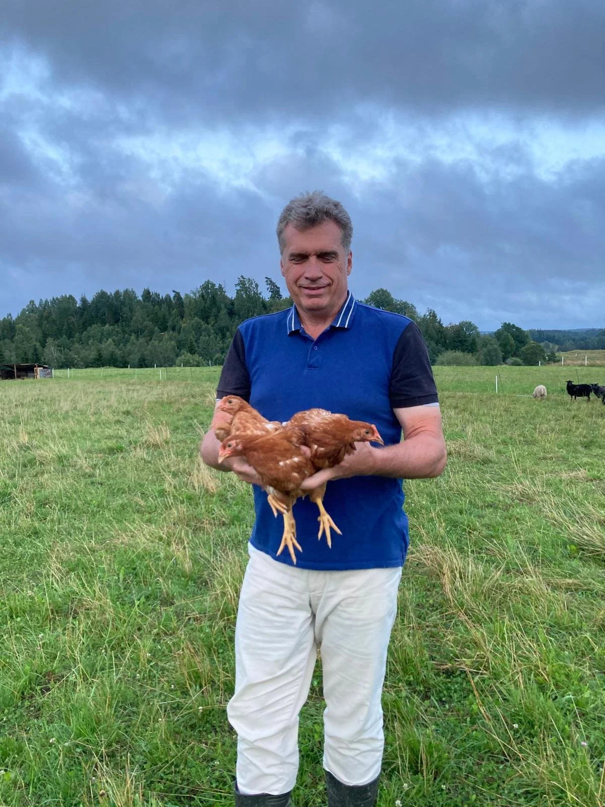 WhatsApp Bild 2024-09-17 um 19.28.11_c9ff30c5.jpg