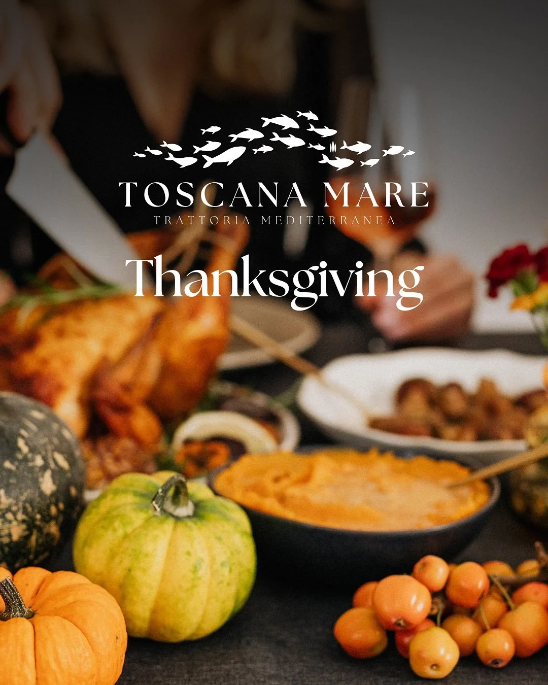 This Thanksgiving, celebrate the season of gratitude with the warmth of Toscana Mare.

Join us for a dine-in &agrave; la carte experience by the sea, where Mediterranean flavors meet the spirit of togetherness.
 Or enjoy the comfort of home with our 