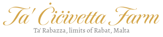 Ta' Cicivetta Farm