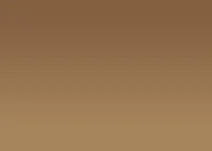 Solar Bronze 35 - Reflective Window Film