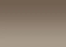 Light Copper - Reflective Window Film