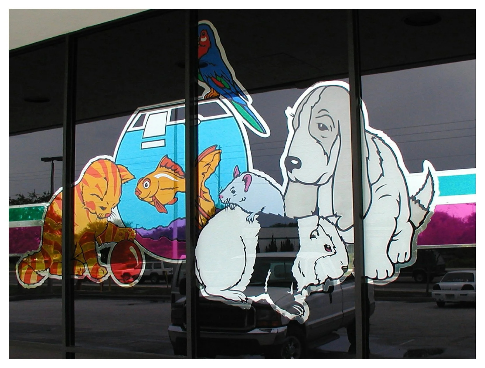 Storefront window with colorful illustrations of pets including a fish, cat, dog, parrot, and guinea pig. colored window film