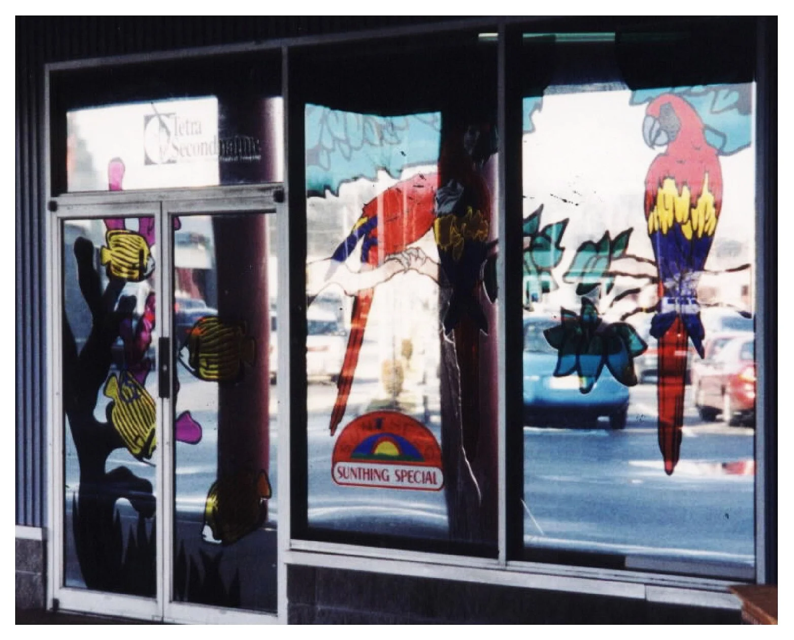 Storefront with glass windows featuring colorful tropical bird and fish decals colored window film
