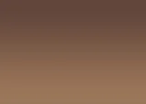 Copper 20 - Reflective Window Film