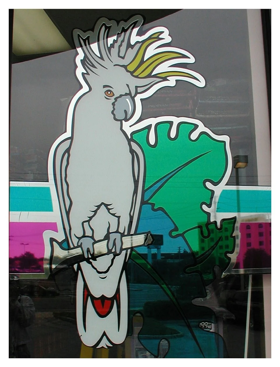 Colorful cockatoo window decal with tropical background. colored window film