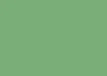 Aurora Green | Sample