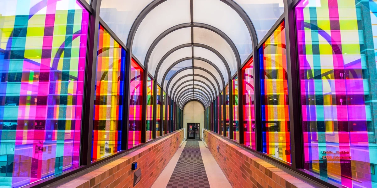 MSU Students Skywalk.webp