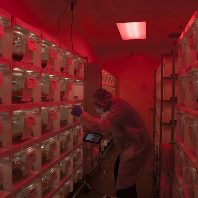 RC-3 lab photo 1.jpg