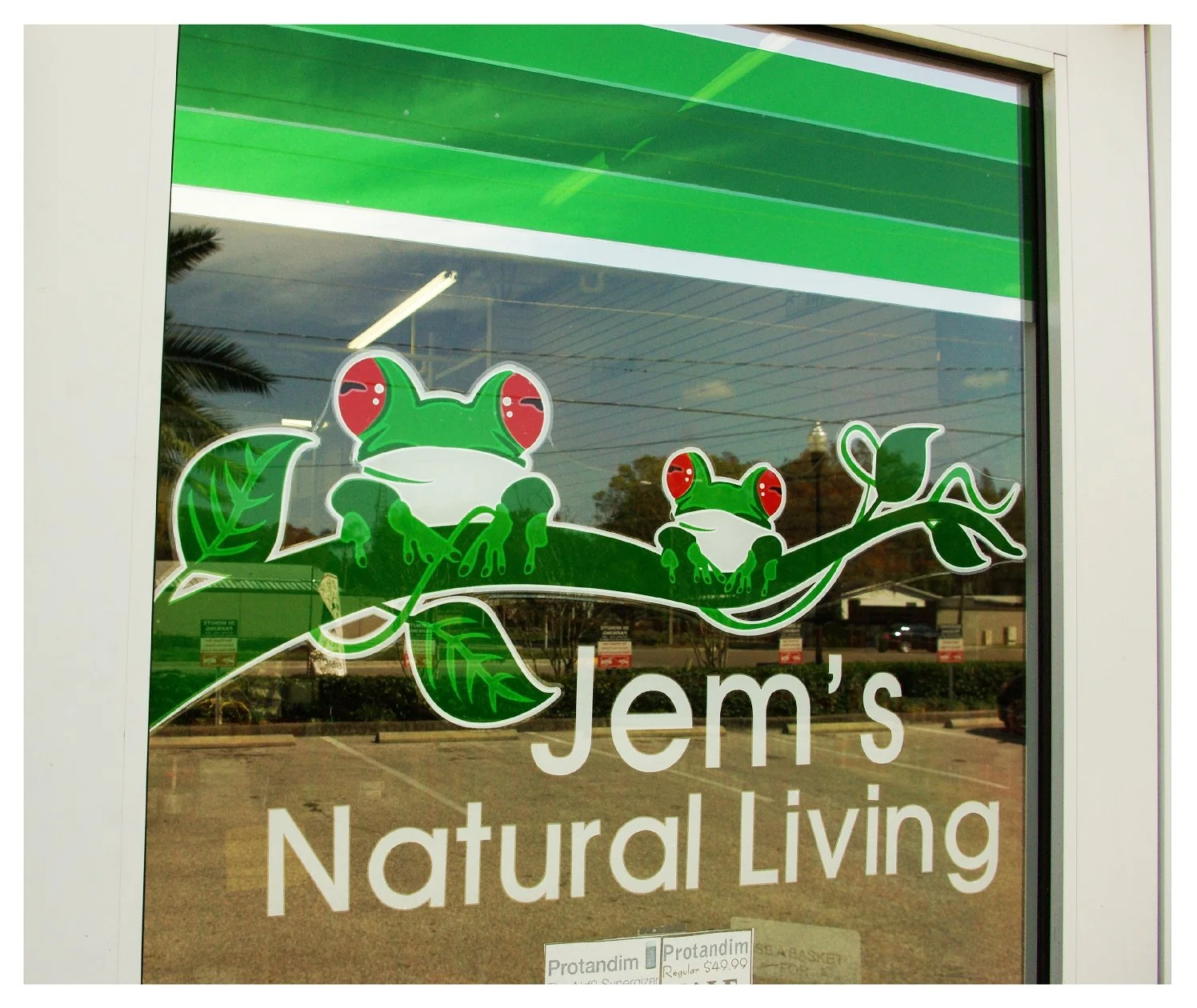Storefront window with Jem's Natural Living logo featuring frogs on a branch. colored window film