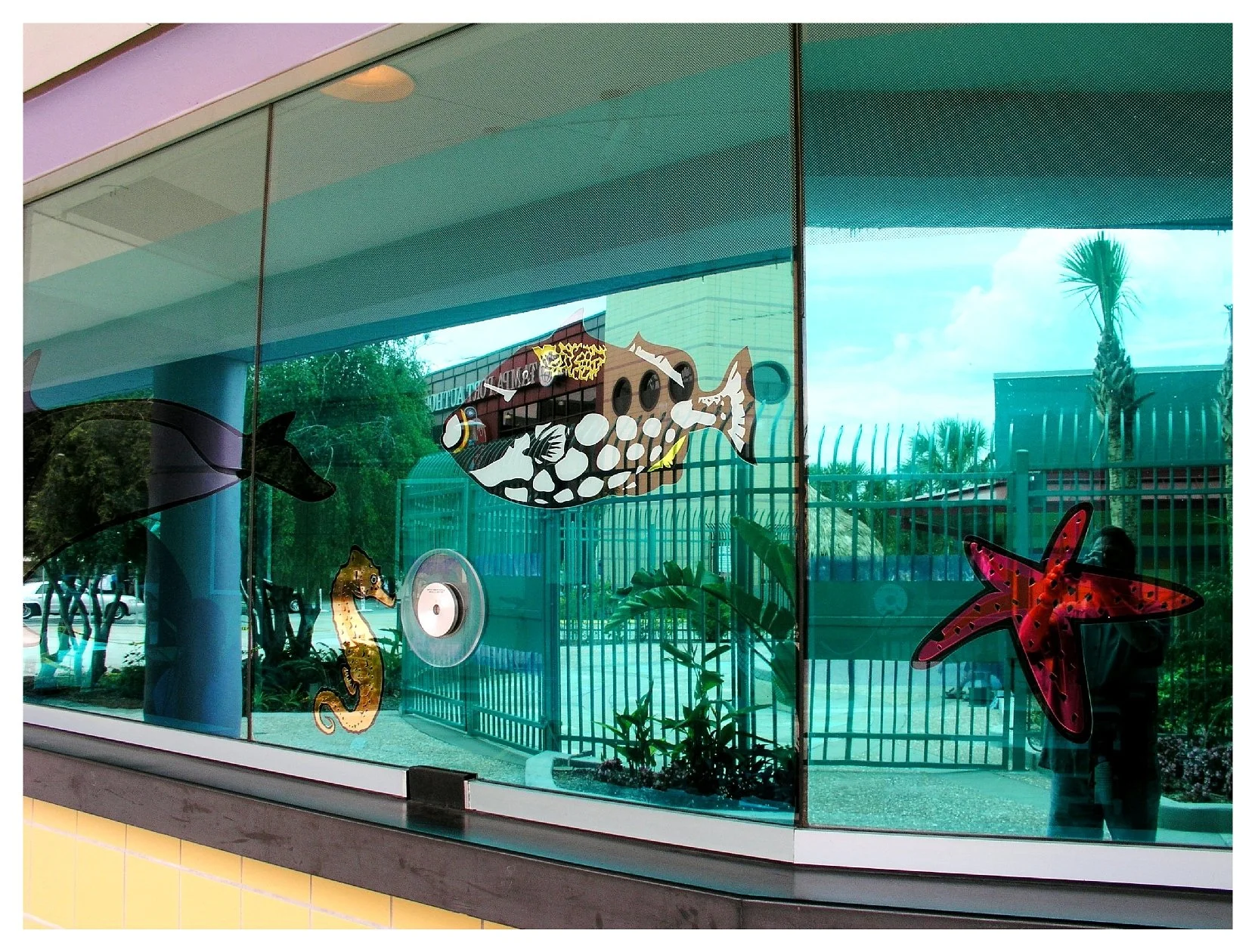 Colorful fish, seahorse, starfish, and dolphin decorations on a glass window panel. colored window film