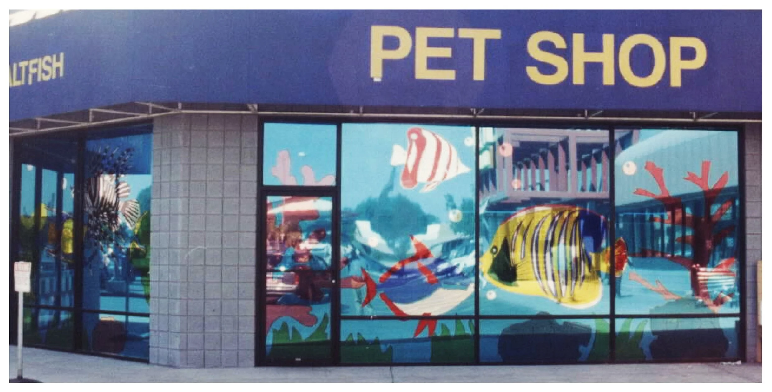 Pet shop storefront with large fish illustrations on windows colored window film