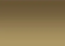 Gold Silver Reflective - Reflective Window Film