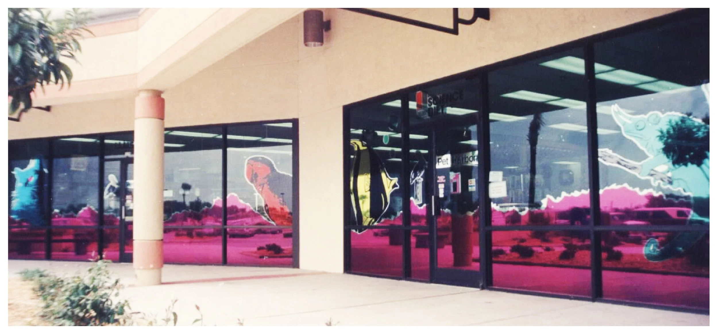 Exterior of a store with cartoon animal murals on windows, featuring bright pink and blue colors. colored window film