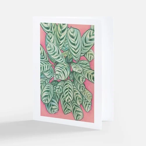 Calathea Note Card  Art by Hanny