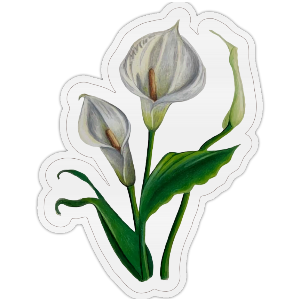 Calla Lilly Sticker