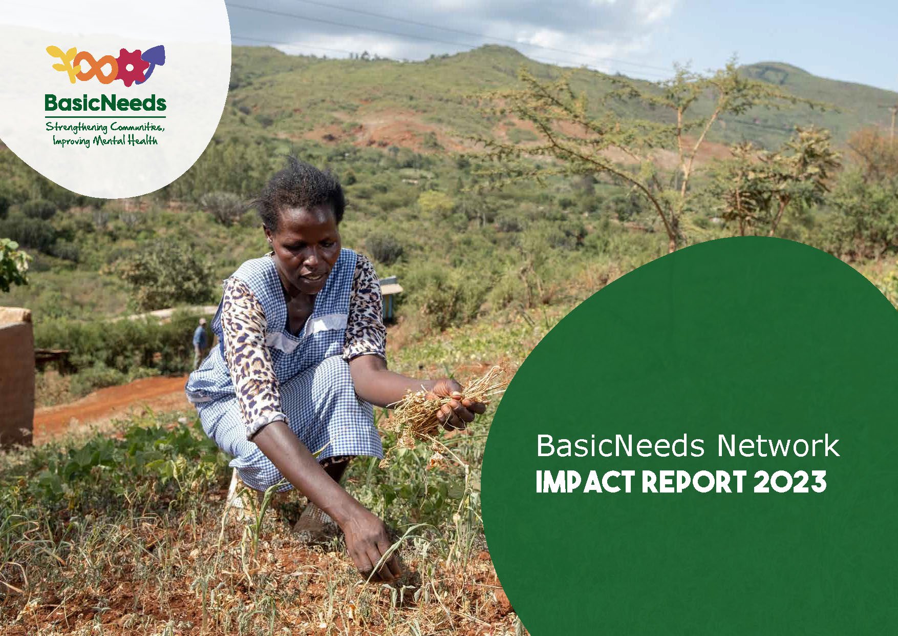 Report cover. Photo of a woman working in a field, harvesting crops under a clear sky, with a graphic overlay reading 'BasicNeeds Network IMPACT REPORT 2023'.