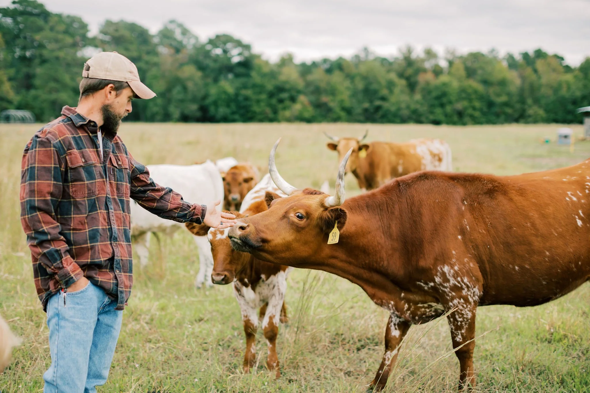 Shenk Family Farm photo 11