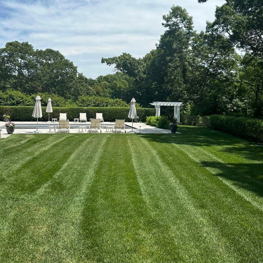 Untitled design-5.png