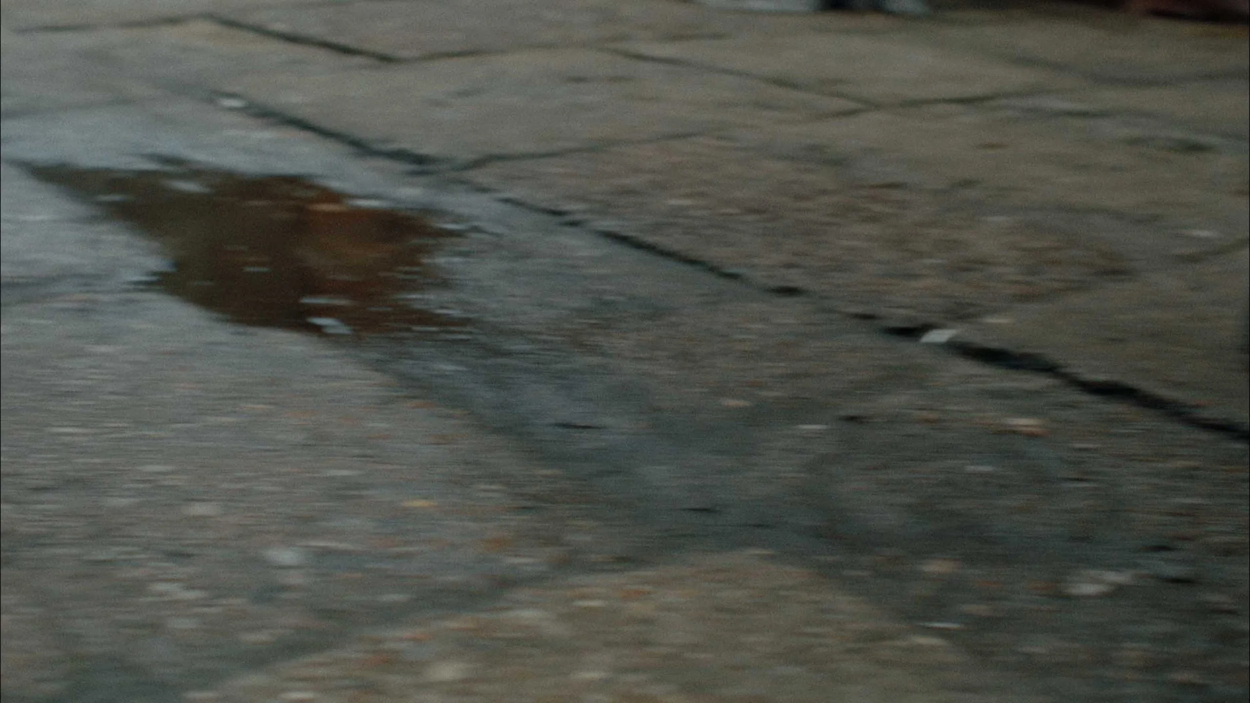 showreel_background.jpg