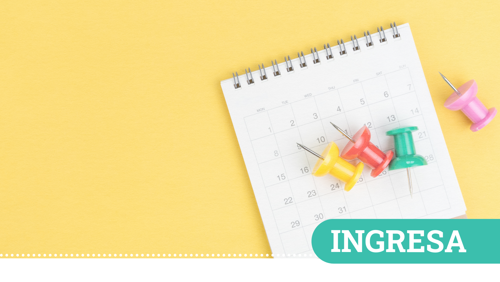 ¡Enruta tus propósitos con el PSU!