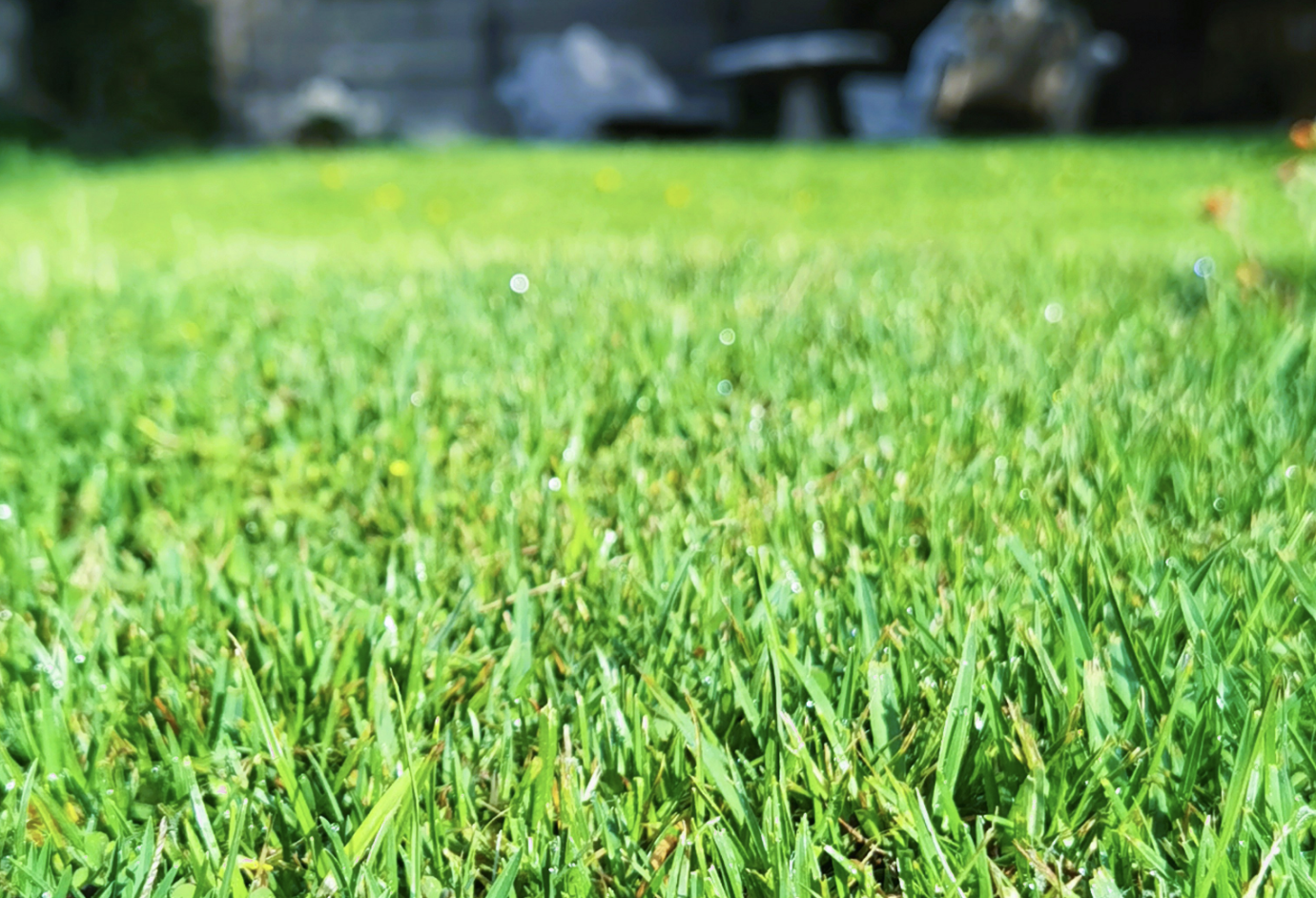 Reliable Commercial Lawn Care in Newmarket: Get Ready for the 2026 Season