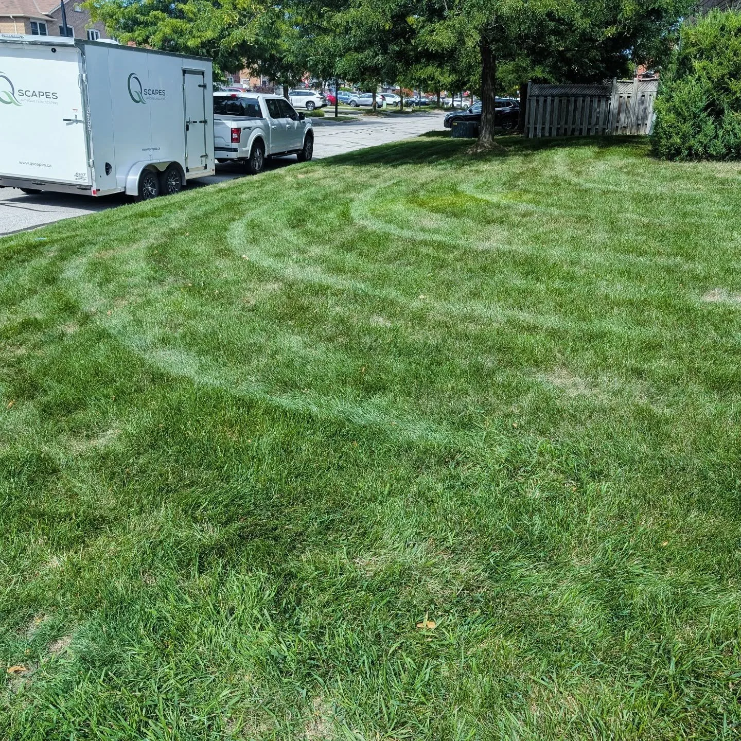 Nice to see your everything green up with this cooler weather.