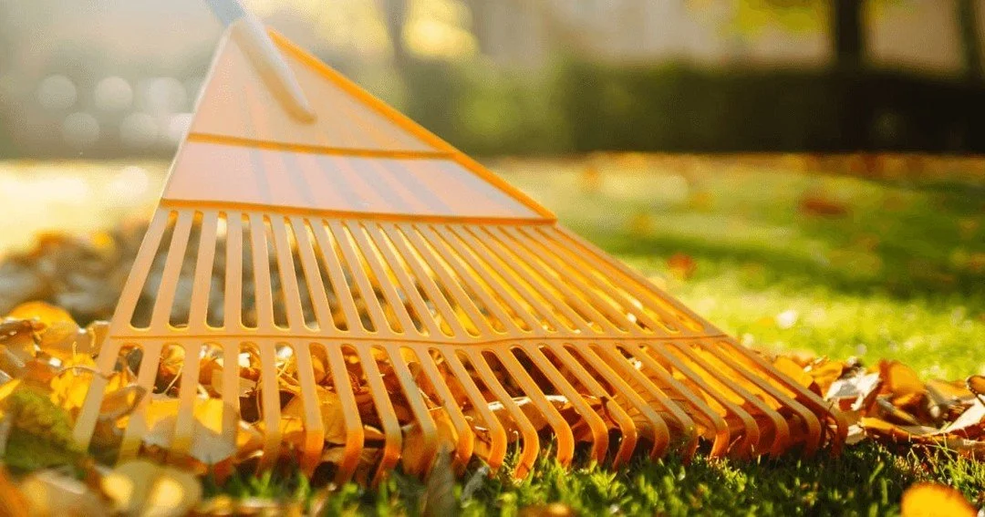 Fall isn't just about pumpkin spice and cozy sweaters. It's the perfect time to prep your lawn for winter! 

At Qscapes Lawn Care &amp; Landscaping, we offer comprehensive fall clean-up services in Newmarket, Aurora, and East Gwillimbury. 

From leaf